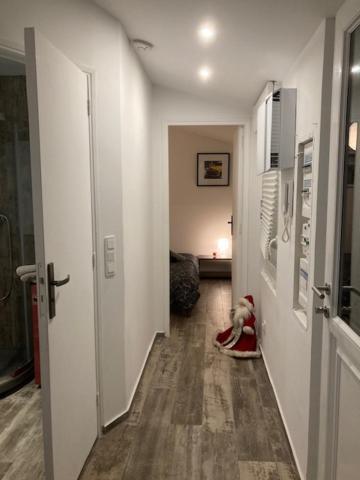 Appartement Mozart Страсбург Екстер'єр фото